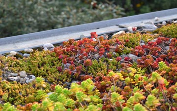 the cost of Westwells green roof installation
